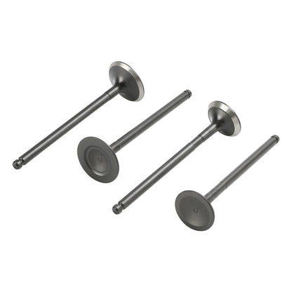 Intake Valve for Polaris Ranger Magnum Sportsman (2000-2002)