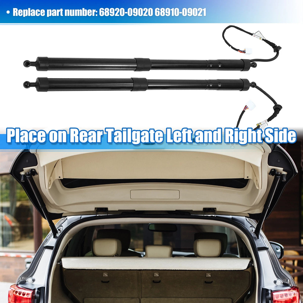Tailgate Lift Supports  for Toyota Highlander (2001-2023)