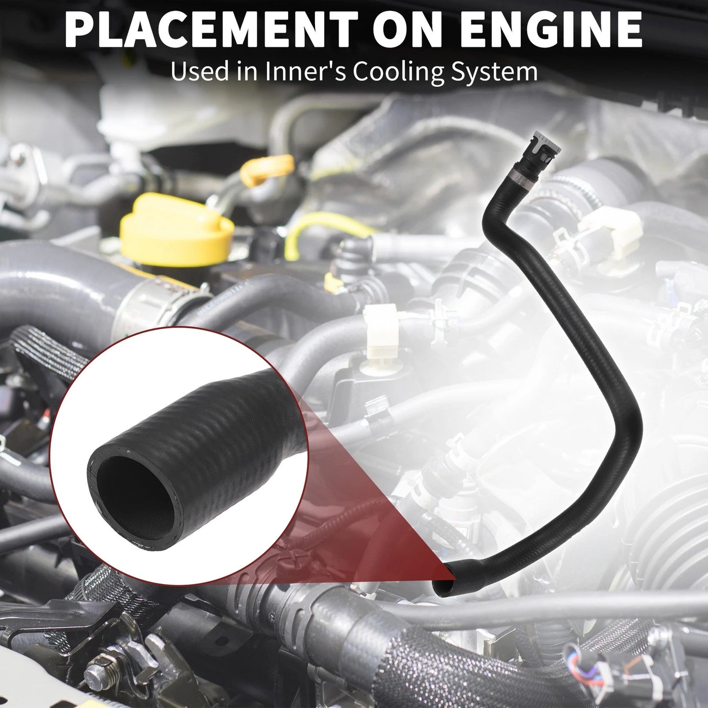 Cooling System Hose Assembly for Ford C-MAX (2010-2019)