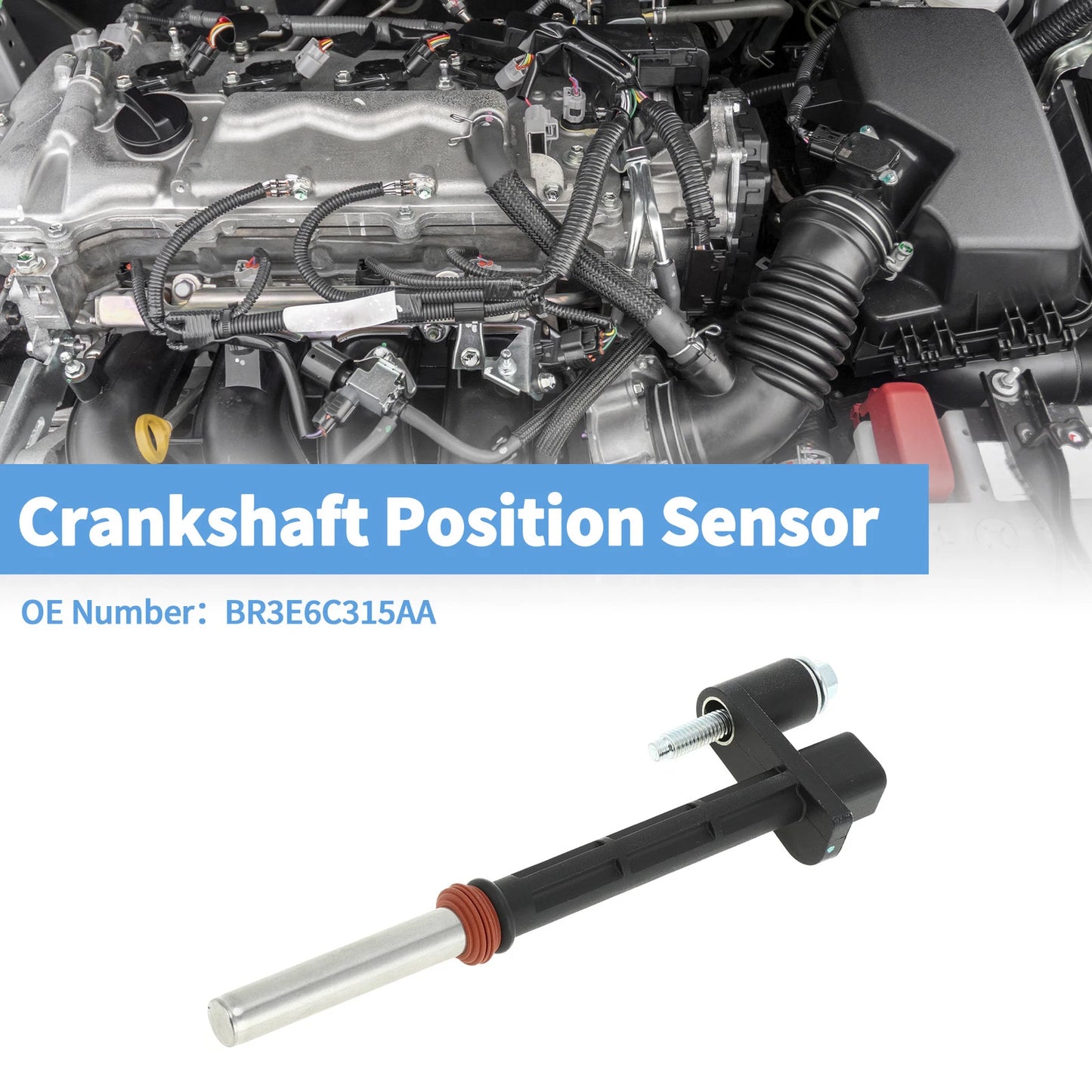 Crankshaft Position Sensor for Ford F-150 5.0L (2011-2017) 1 x Sensor