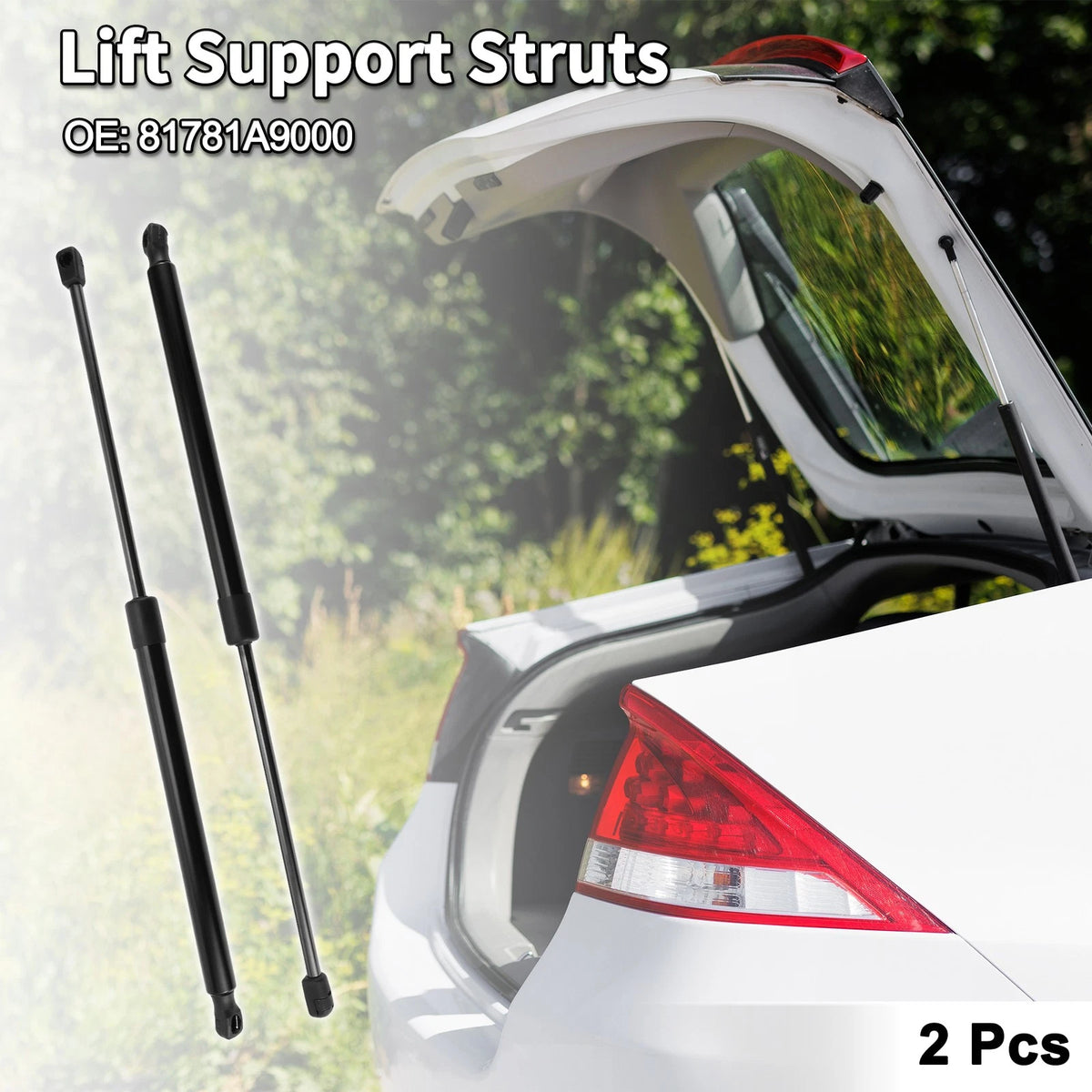 Rear Hatch Lift Supports Struts for Kia Sedona (2006-2020)