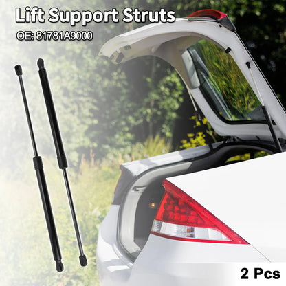 Rear Hatch Lift Supports Struts for Kia Sedona (2006-2020)