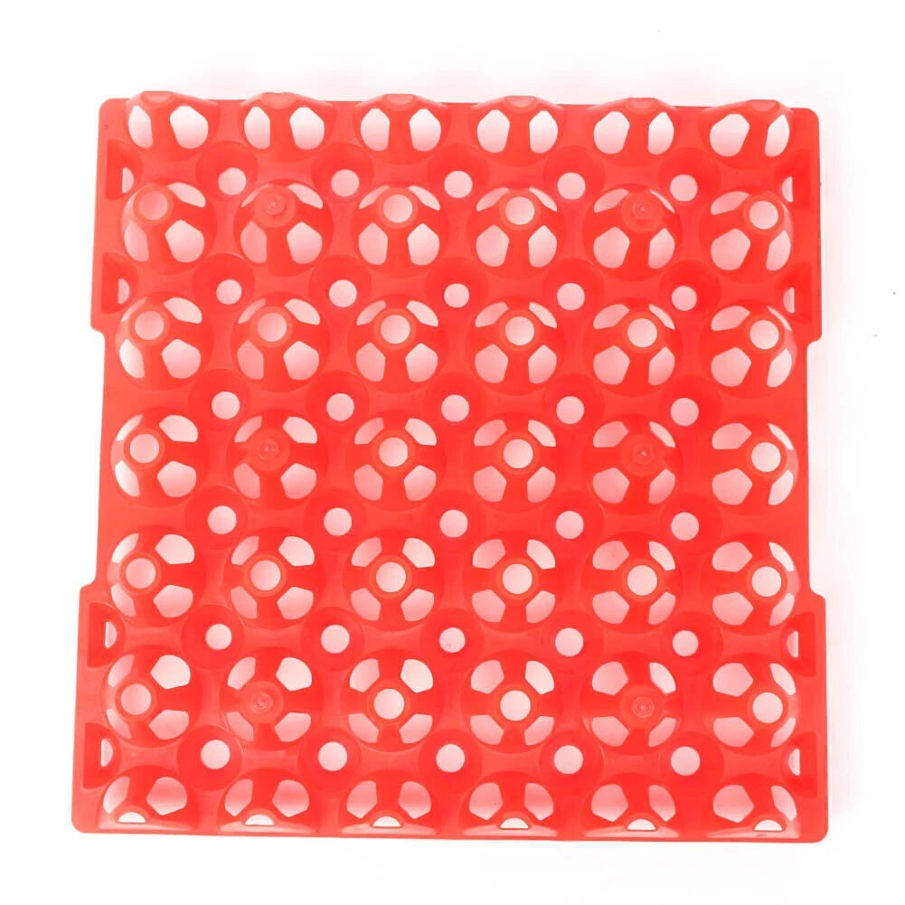 6 x Egg Trays for Incubator Storage Holders for Poultry, Turkey, Duck, Peafowl