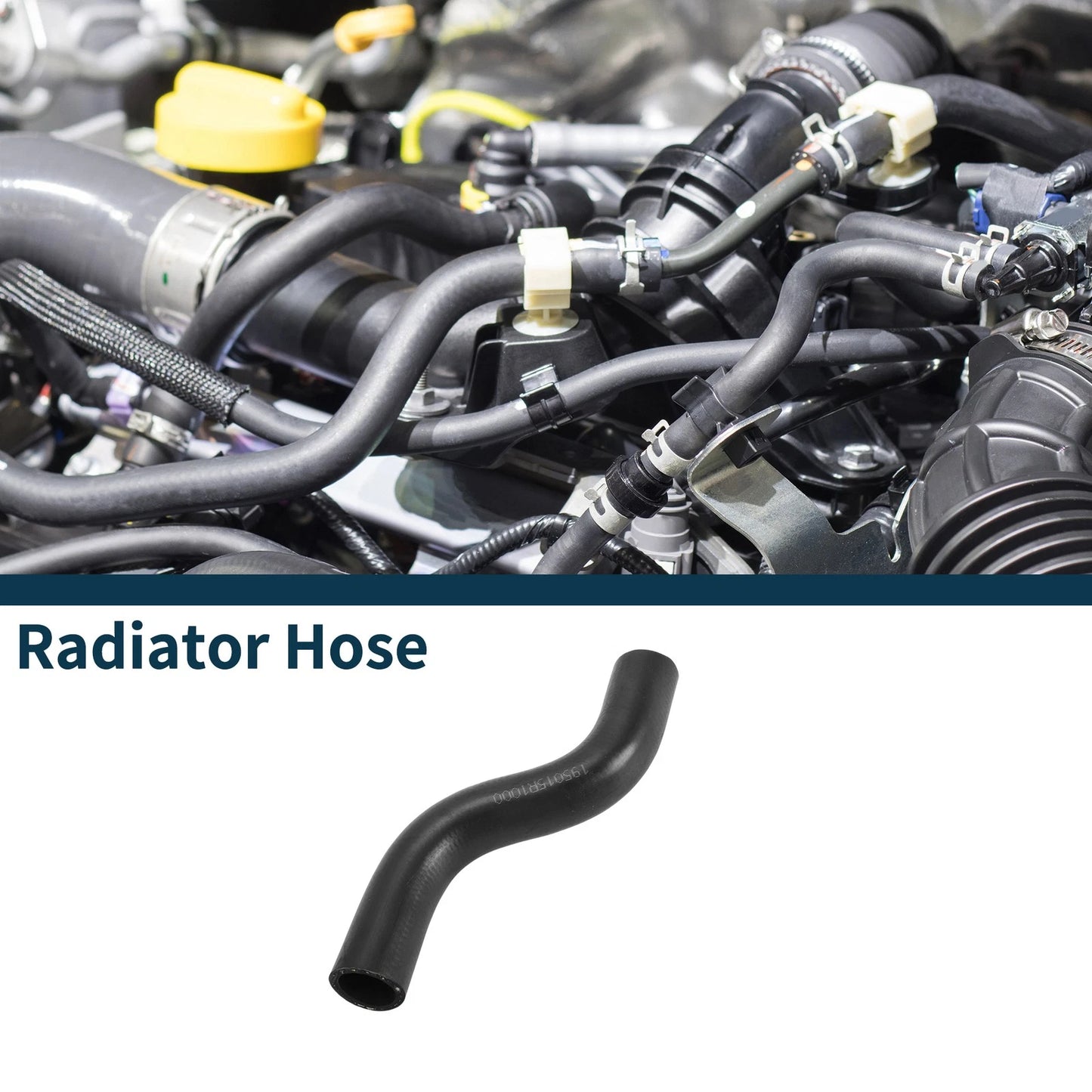Radiator Hose for Honda Jazz (2015-2024)
