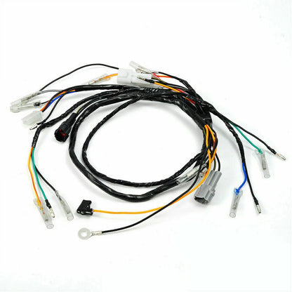 Wire Harness Assy for Yamaha ATV Blaster 200 YFS200 (1997–2001)