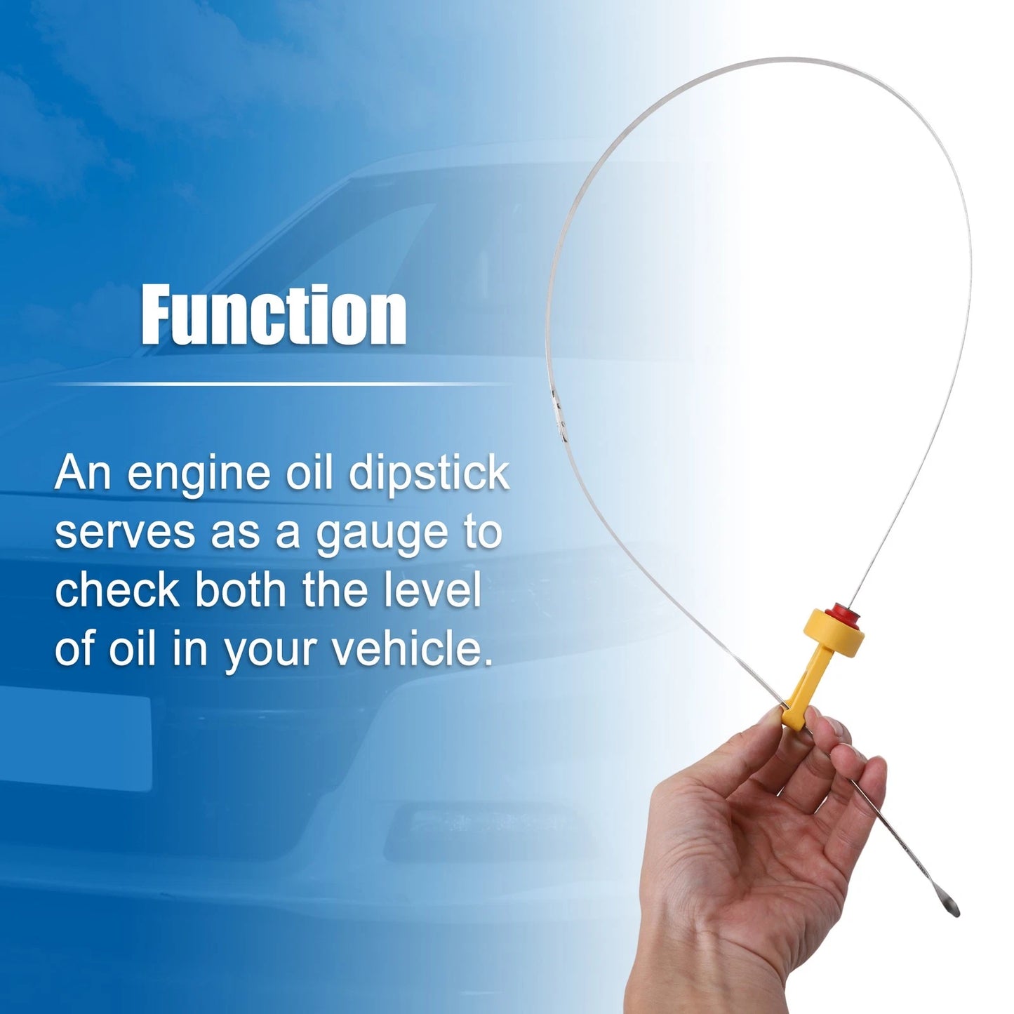 Engine Oil Level Dipstick for Ford F-150 (2005-2008)