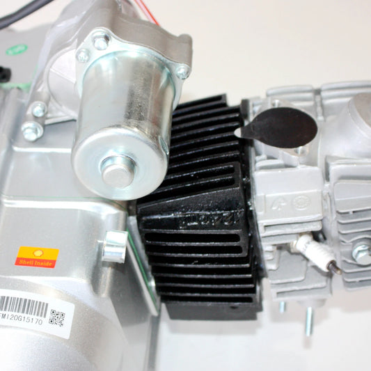 125cc Auto Reverse Engine Motor for BT PIT QUAD DIRT BIKE ATV DUNE BUGGY