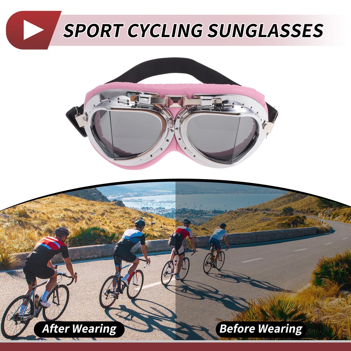 Motorcycle Riding Goggles Deep Gray Lens Pink Silver Frame PC PU Sponge