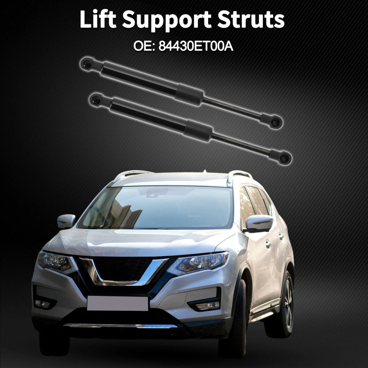 Rear Hatch Lift Supports for Nissan Sentra (2007-2012)