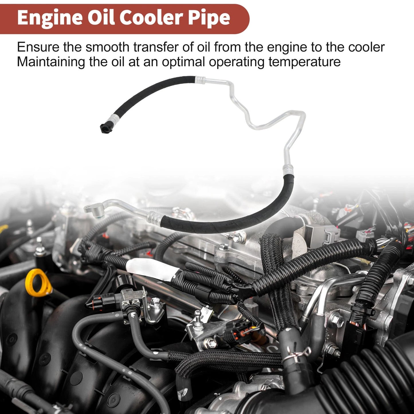 Inlet Engine Oil Cooler Tube for BMW 535i F10 (2009-2009)