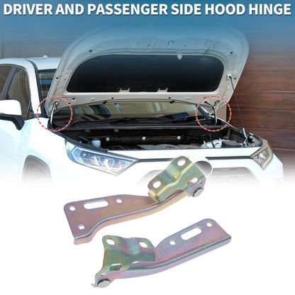 Hood Hinges for Honda Accord (2008-2012) 1 Pair