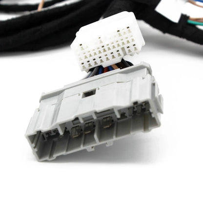 K20/K24 K-Swap Harness for Civic EG & Integra DC2 (1992–2001)