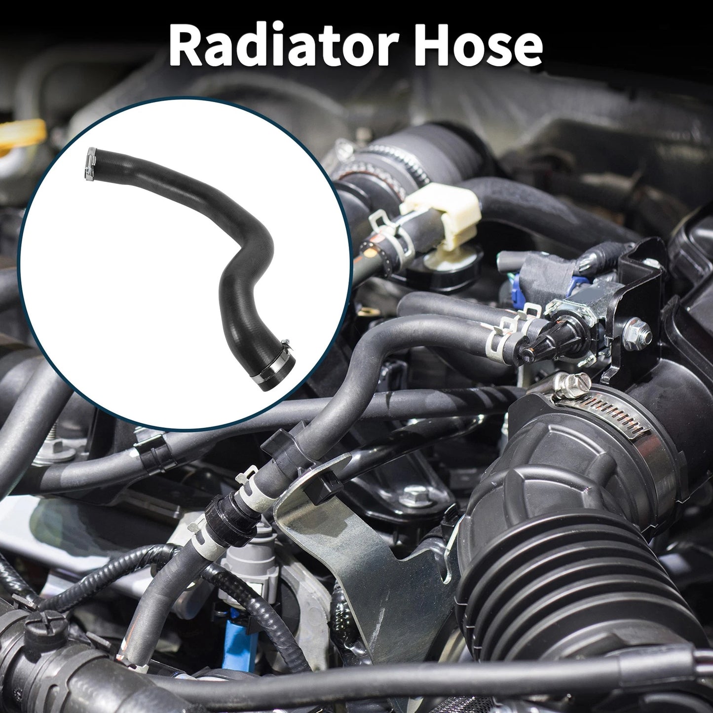 Radiator Hose for Ford Focus II 2.0 TDCi (2005-2011)