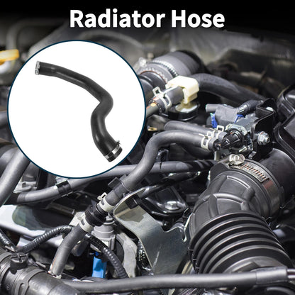 Radiator Hose for Ford Focus II 2.0 TDCi (2005-2011)
