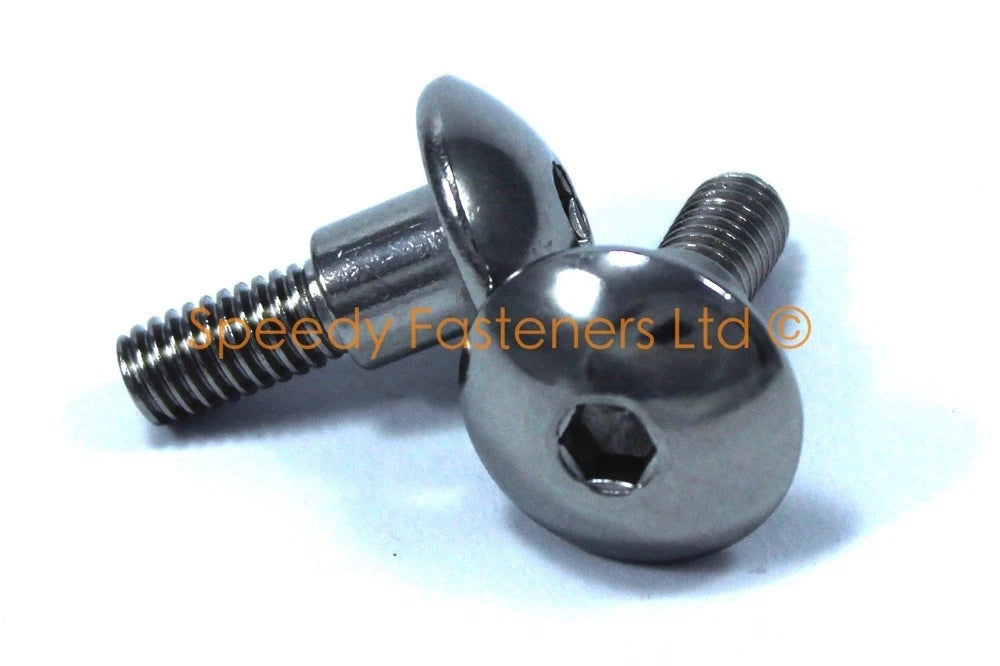 10x Fairing Bolts m6 x 20mm Stainless for Yamaha Thunderace