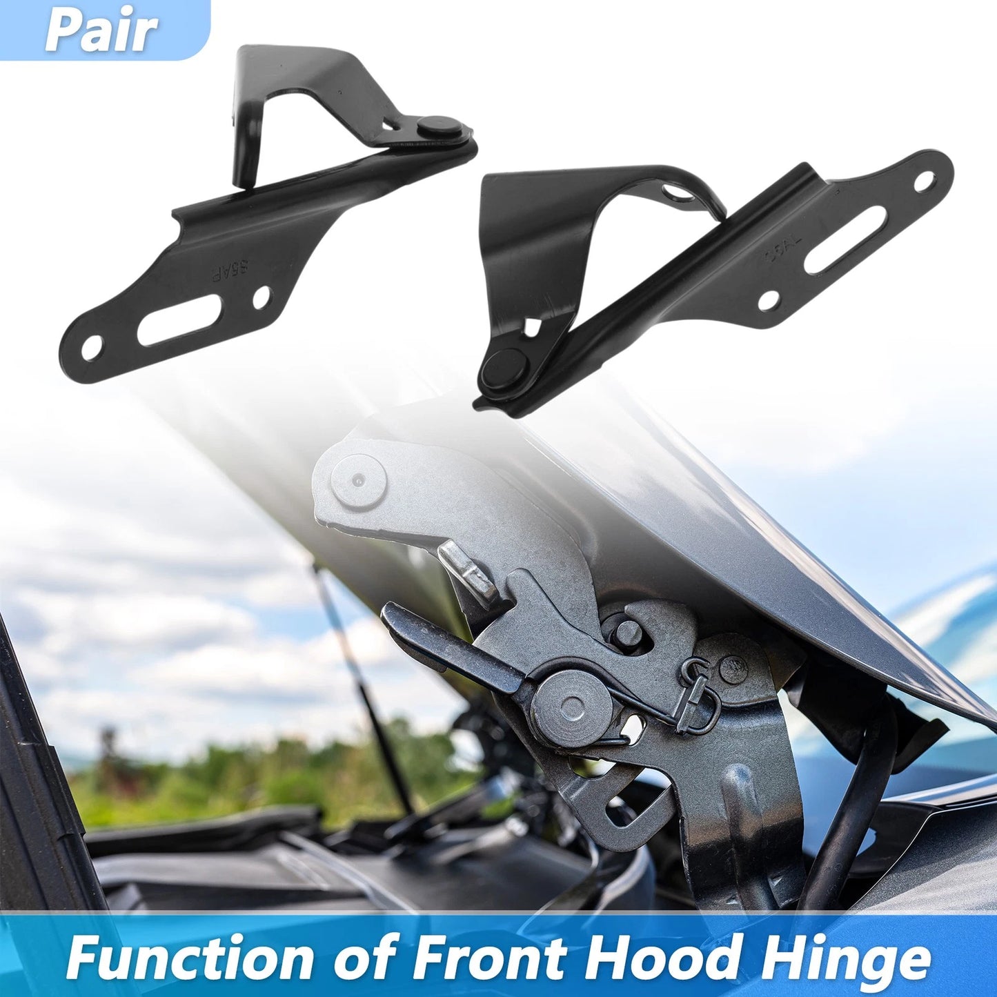 Hood Hinge for Honda Civic, CR-V, Element (2001-2005)