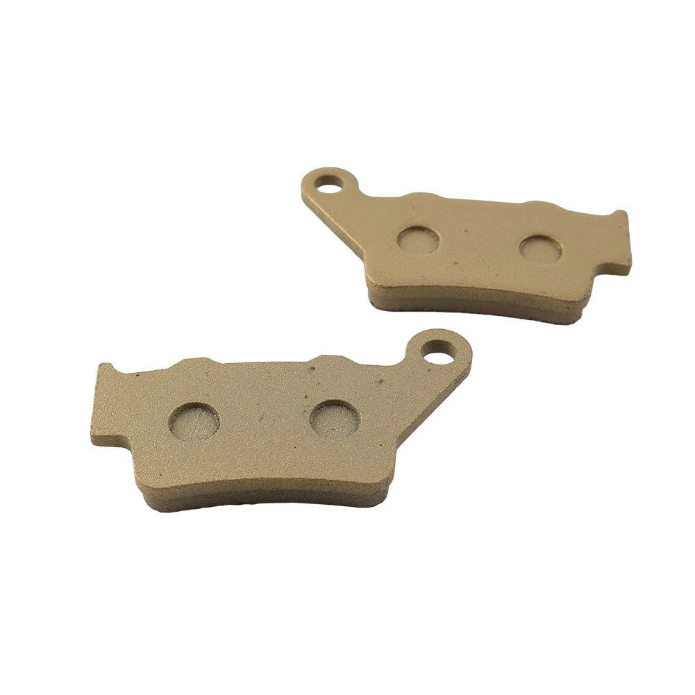 Rear Brake Pads for INDIAN Scout Bobber Sixty, APRILIA Dorsoduro, BMW G 650 (2017-2020)