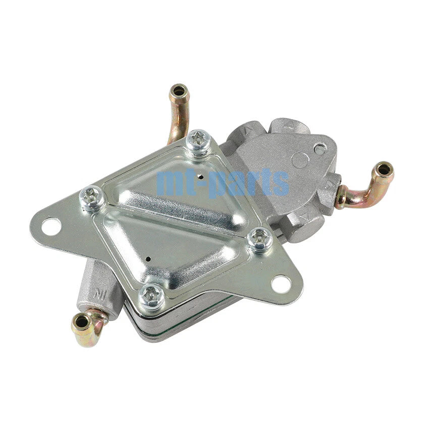 Fuel Pump for DINLI DL700X (2010)