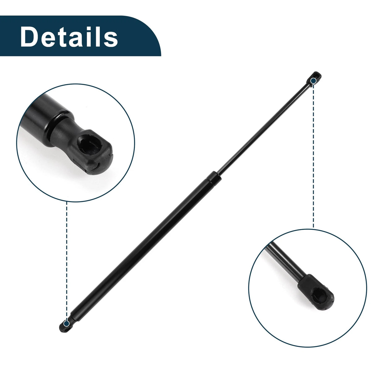 Rear Hatch Lift Supports for Toyota Sienna Mini Cargo Van (2011-2023)
