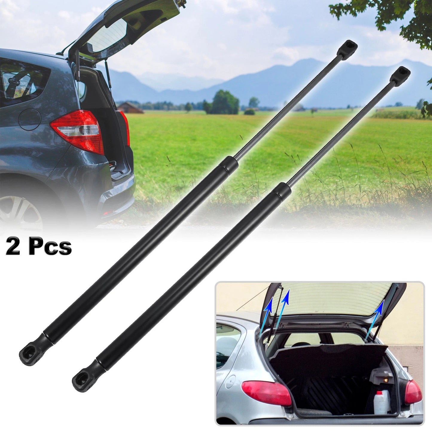 Rear Hatch Liftgate Gas Struts for Suzuki Swift (2004-2010)