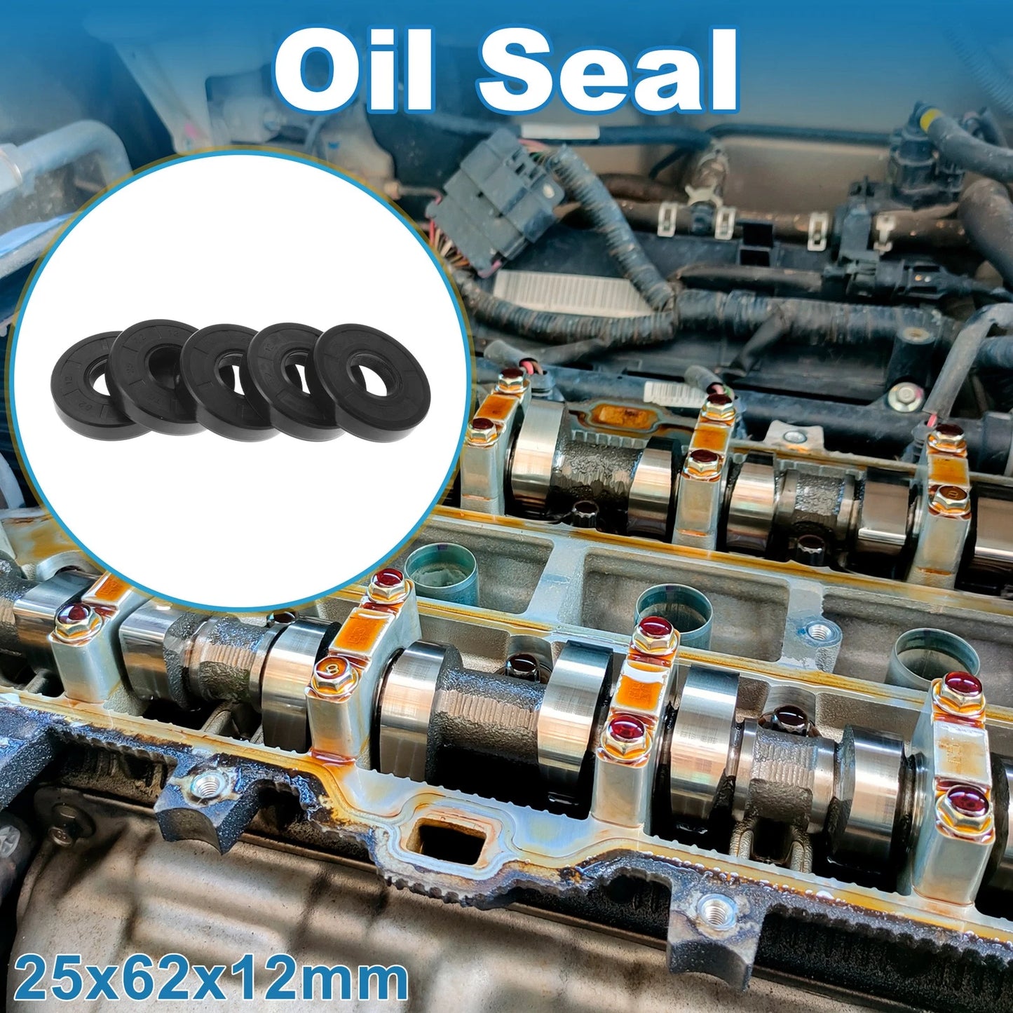 Oil Seal 25x62x12mm TC Seal Ring Rotary Shaft Seal Nitrile Rubber