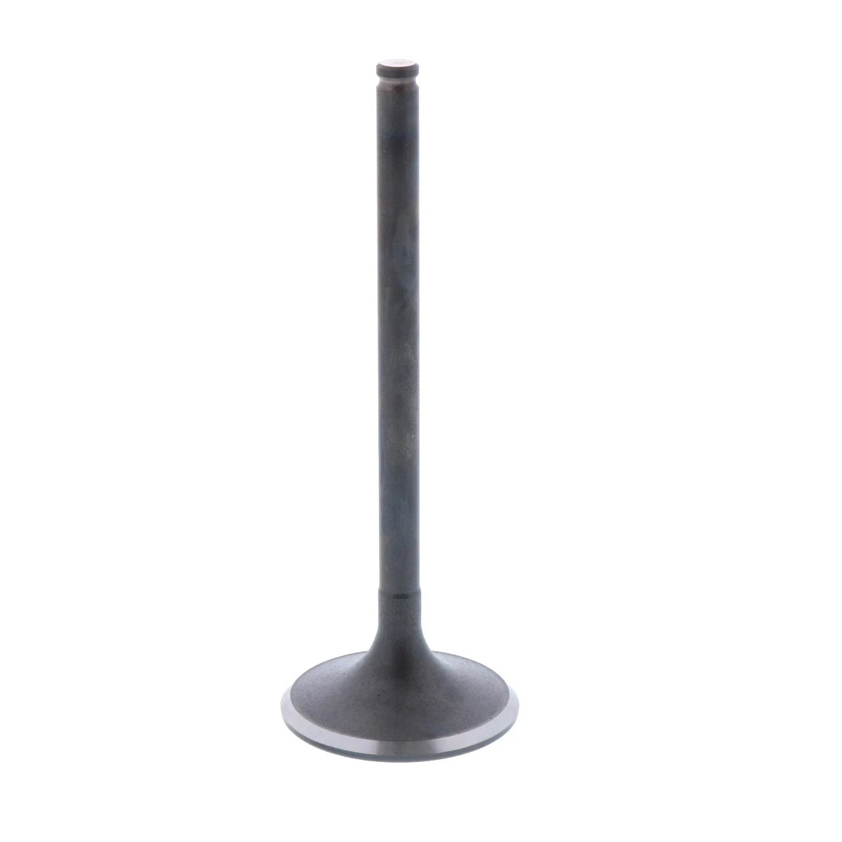 Intake Valve Honda Fourtrax 300 TRX300 (1988–2000)