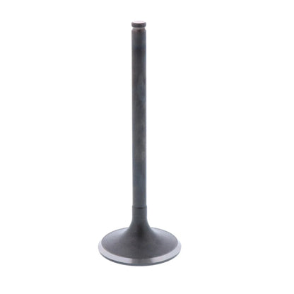 Intake Valve Honda Fourtrax 300 TRX300 (1988–2000)