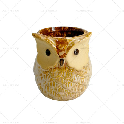 6 x Mini Ceramic Owl Plant Pots for Succulent Flower Home Decoration