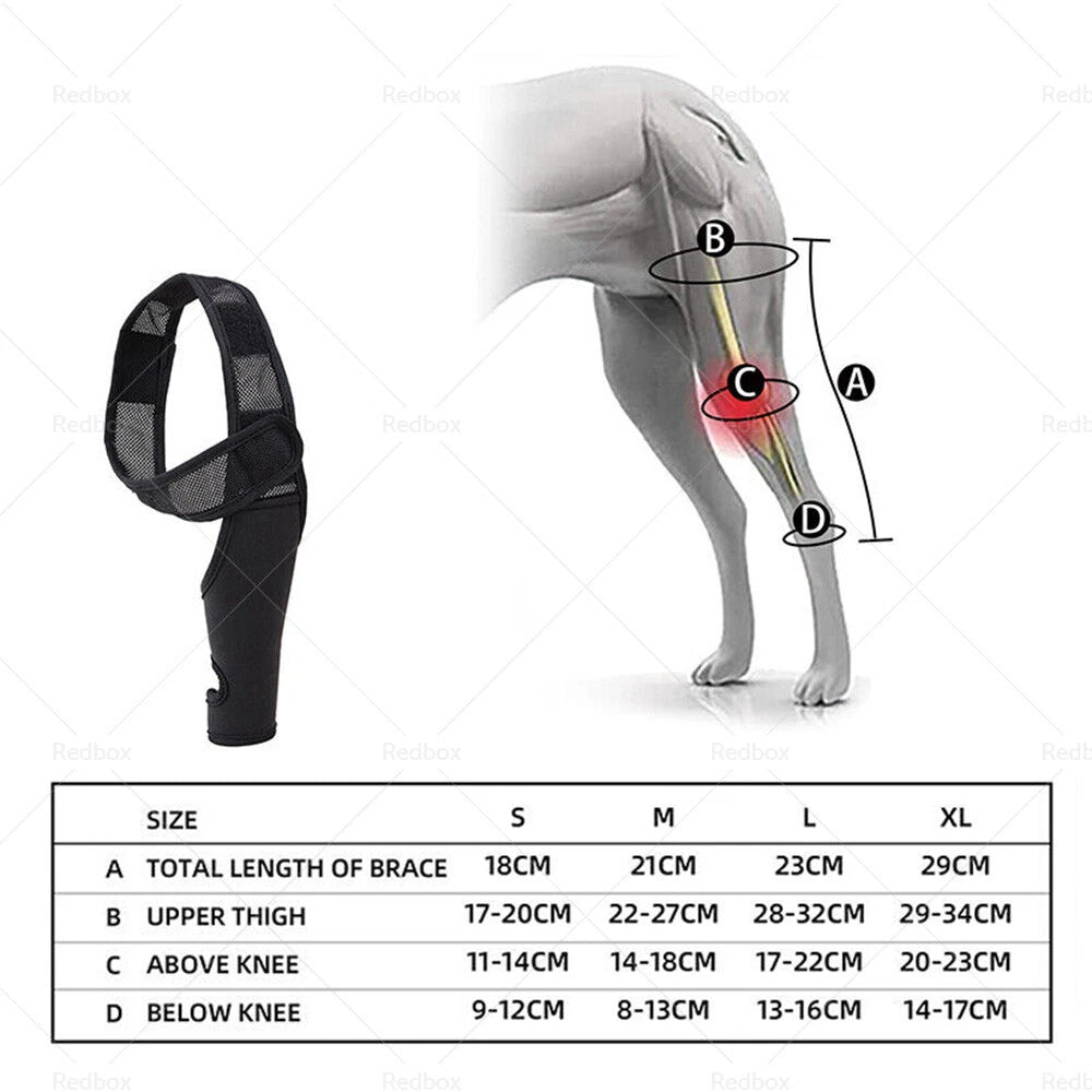 Dog Knee Support Brace Hock Protector Compression Wrap for Rear Leg S/M/L/XL