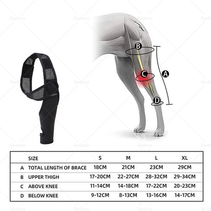 Dog Knee Support Brace Hock Protector Compression Wrap for Rear Leg S/M/L/XL