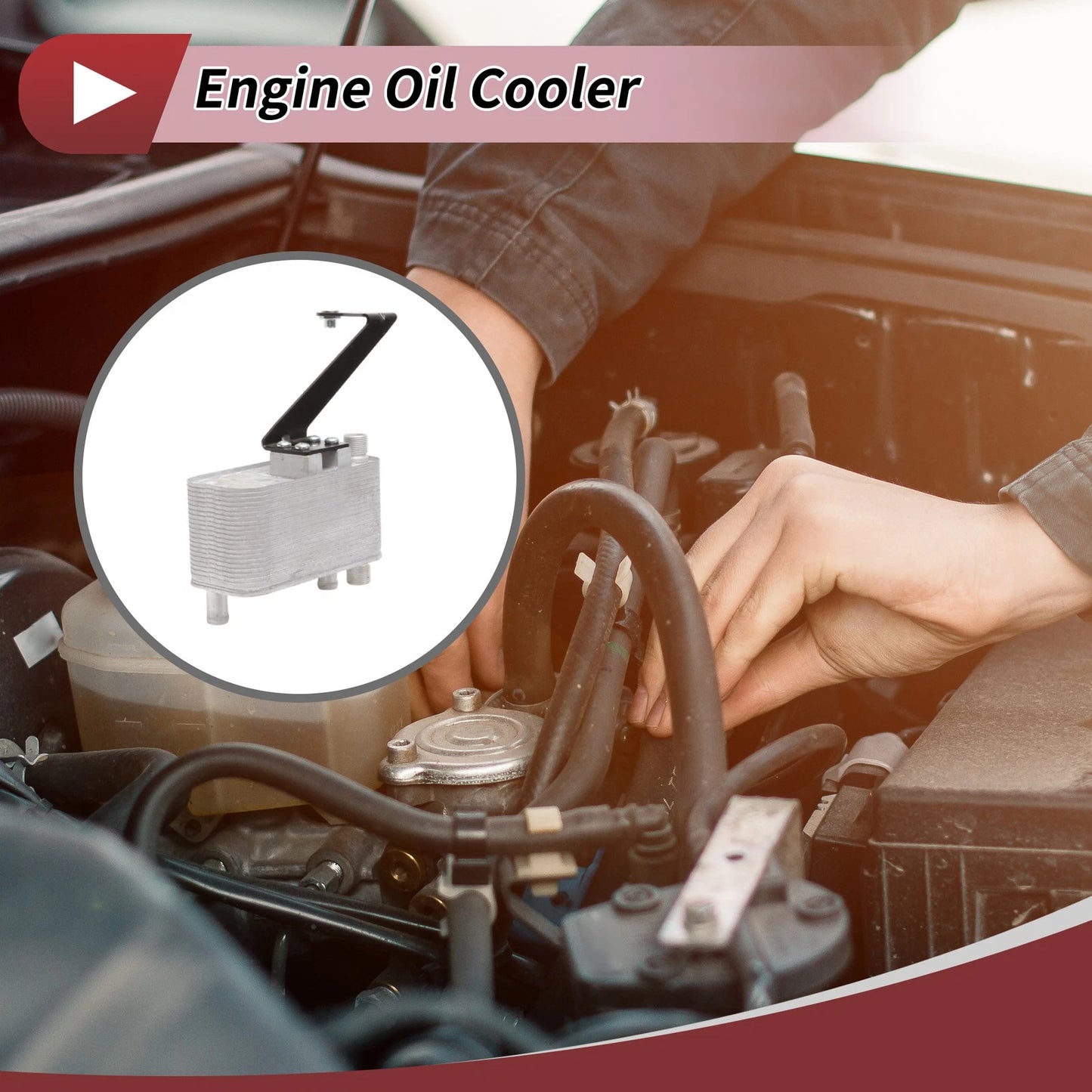 Engine Oil Cooler for Land Rover Freelander (2000-2006) 1 Pc