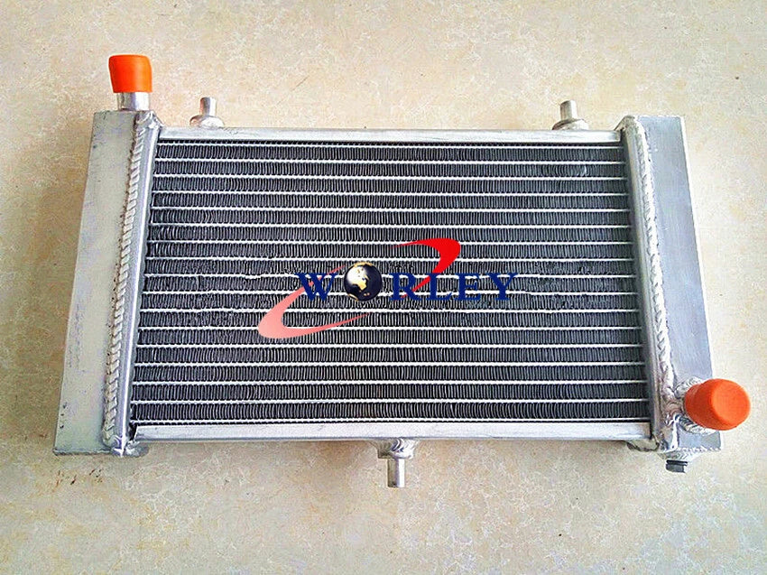 Aluminum Alloy Radiator for Aprilia RS 125 (2005-2010)