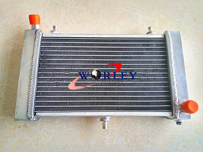 Aluminum Alloy Radiator for Aprilia RS 125 (2005-2010)