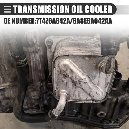 Engine Oil Cooler Assembly for Ford Edge (2007-2008)