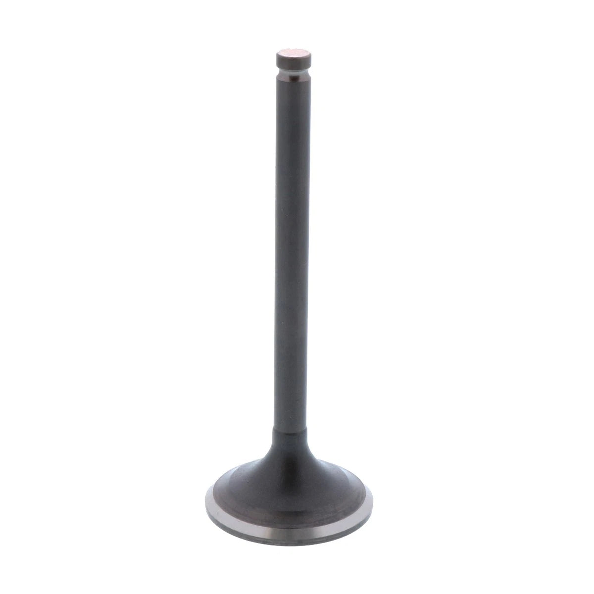 Exhaust Valve / 2x4 & 4x4 for Honda Rancher (2000–2006)