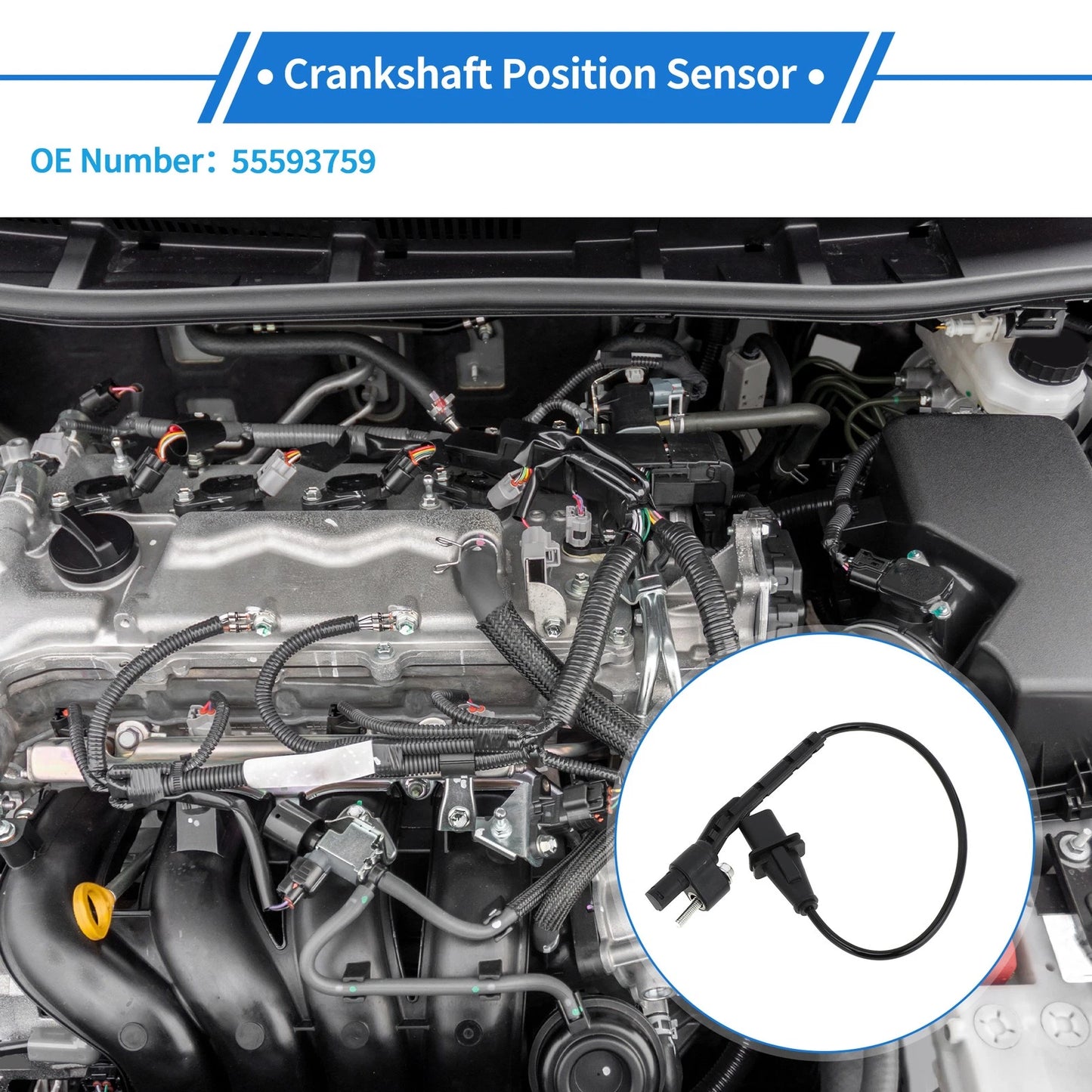 Crankshaft Position Sensor 2.8 Diesel for Chevy Colorado (2016-2022)