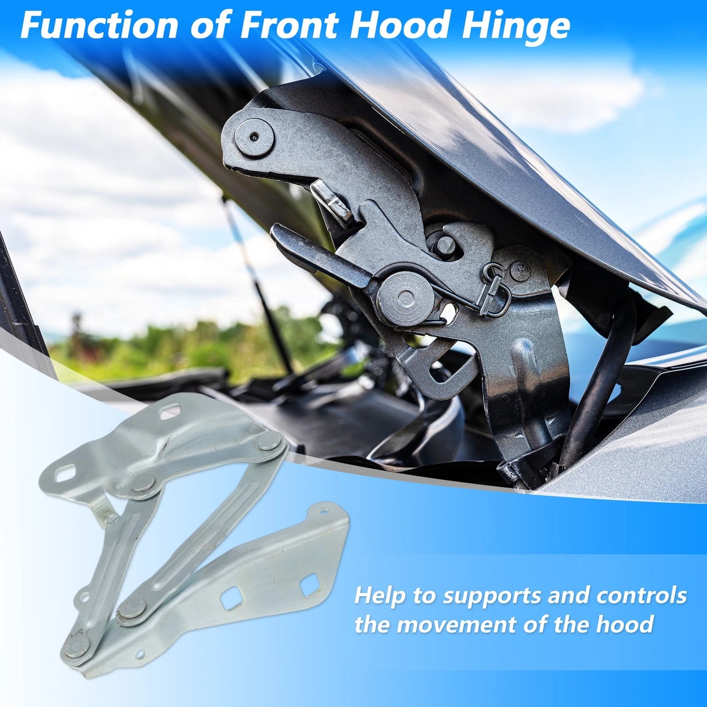 Hood Hinge for Ford Transit-150, Transit-250, Transit-350 (2014-2023)