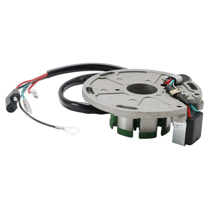 6 Coils Ignition Stator for TM Racing TM 125/250, TM 85 (2001-2021)