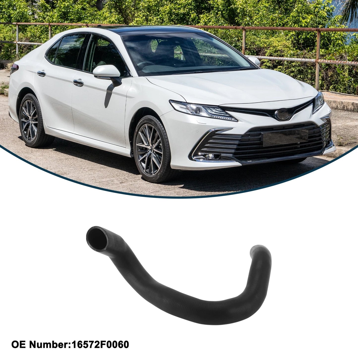 Radiator Hose Lower Radiator Hose for Toyota Camry (2018–2023)