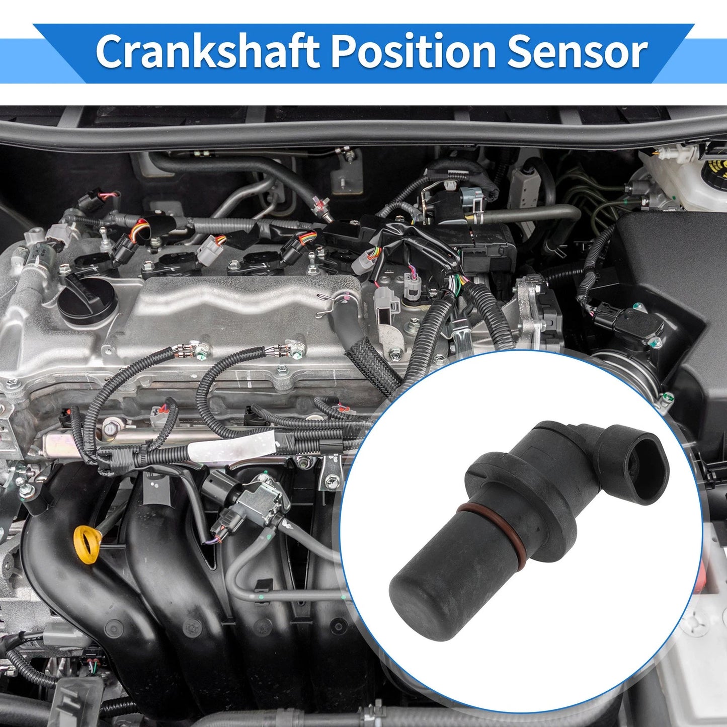 Crankshaft Position Sensor for Ford - Black Metal Plastic