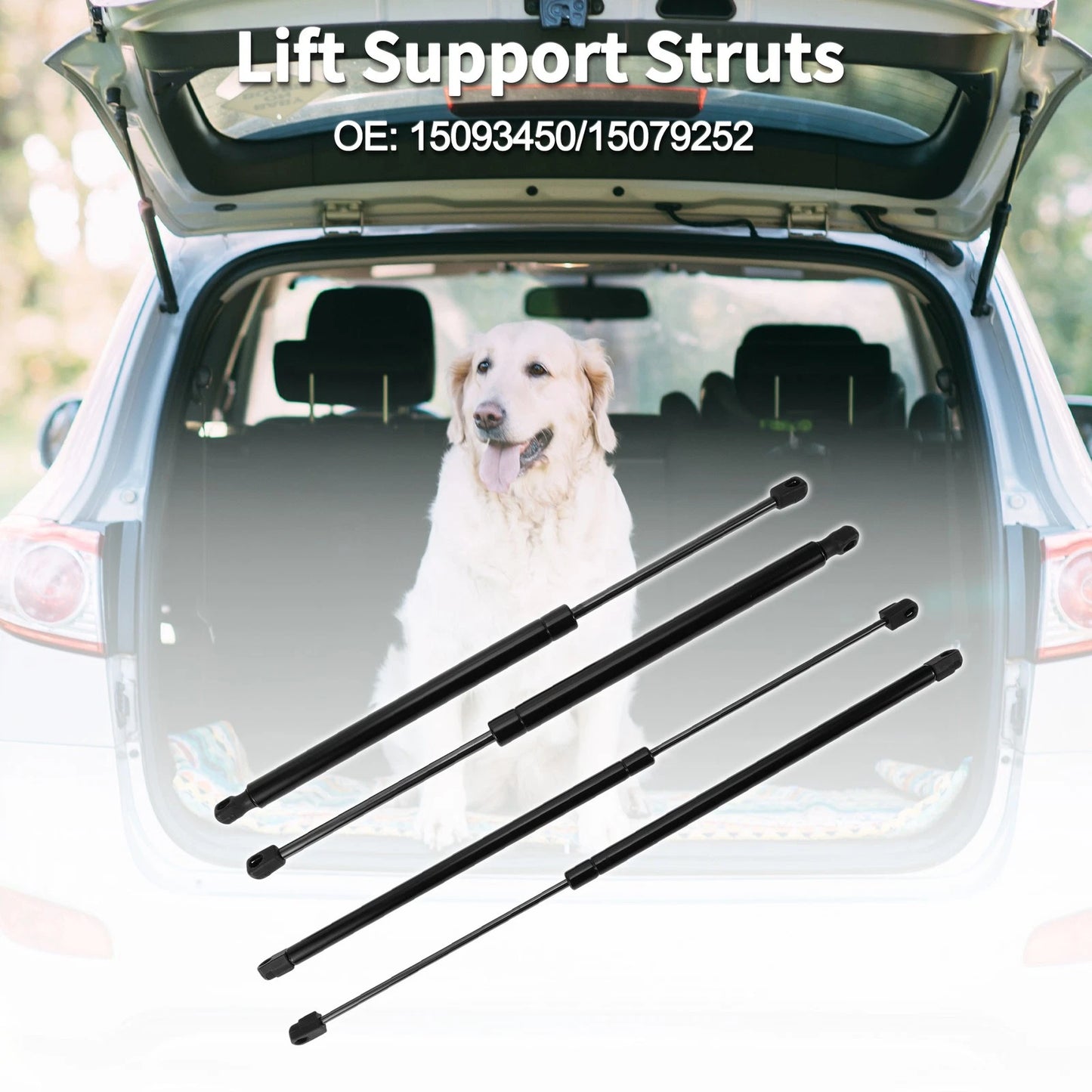 2 x Rear Window Glass&Hatch Lift Supports for Buick Rainier (2005–2007)