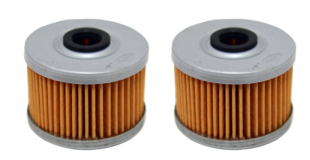 Oil Filters 2 x for Honda Rancher 350 420 TRX300EX TRX400EX Foreman 450 500