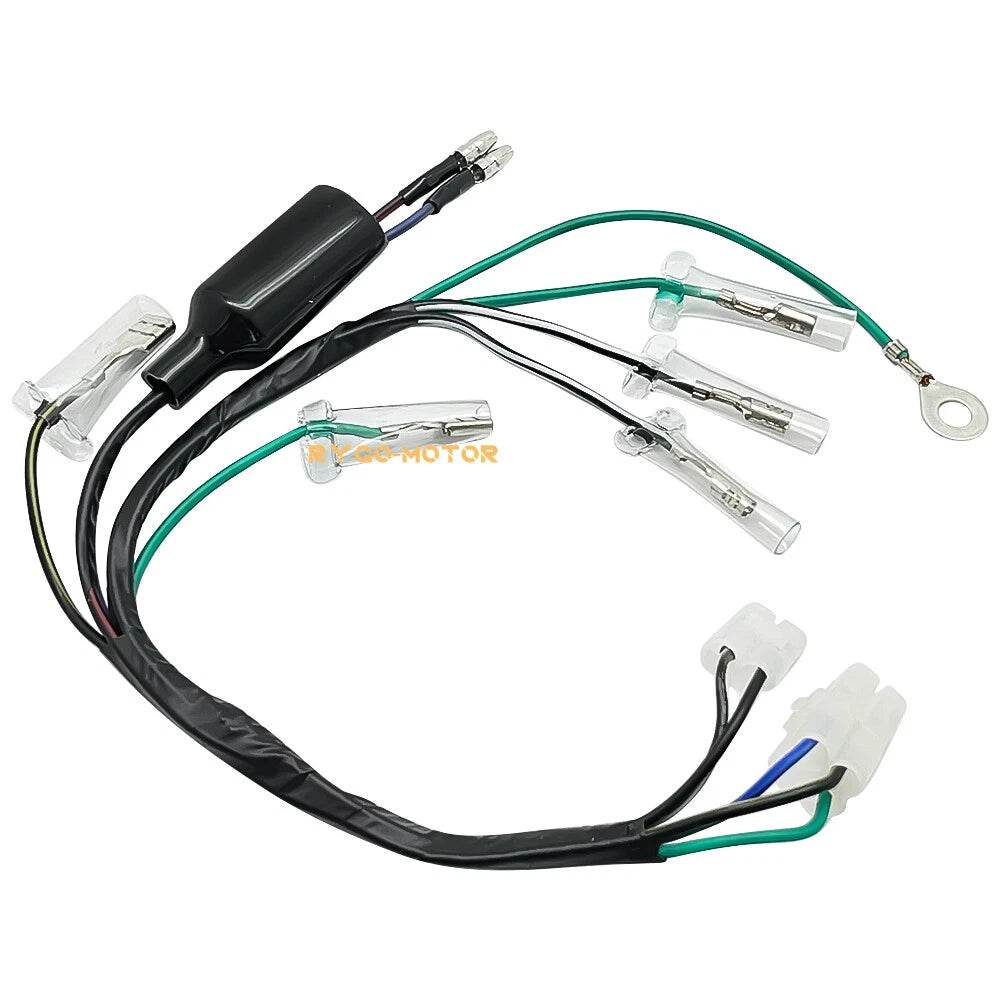 Wiring Harness for Honda CRF100F/CRF80F (2004–2009)