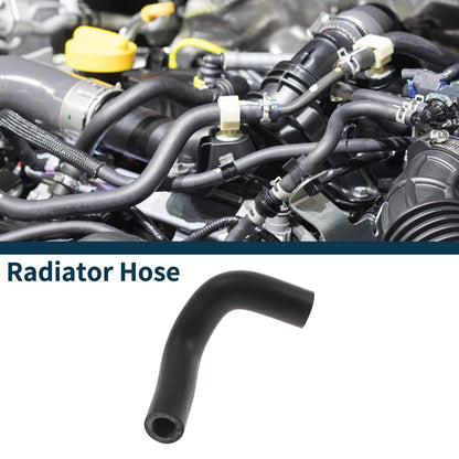 Radiator Hose / 3.1L Gas for Buick Century (1997–2005)