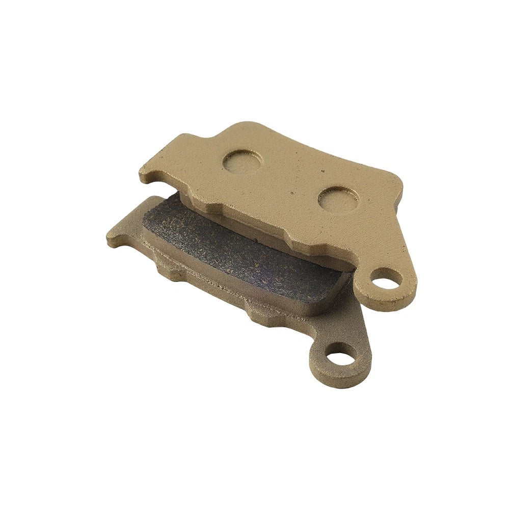 Rear Brake Pads for INDIAN Scout Bobber Sixty, APRILIA Dorsoduro, BMW G 650 (2017-2020)
