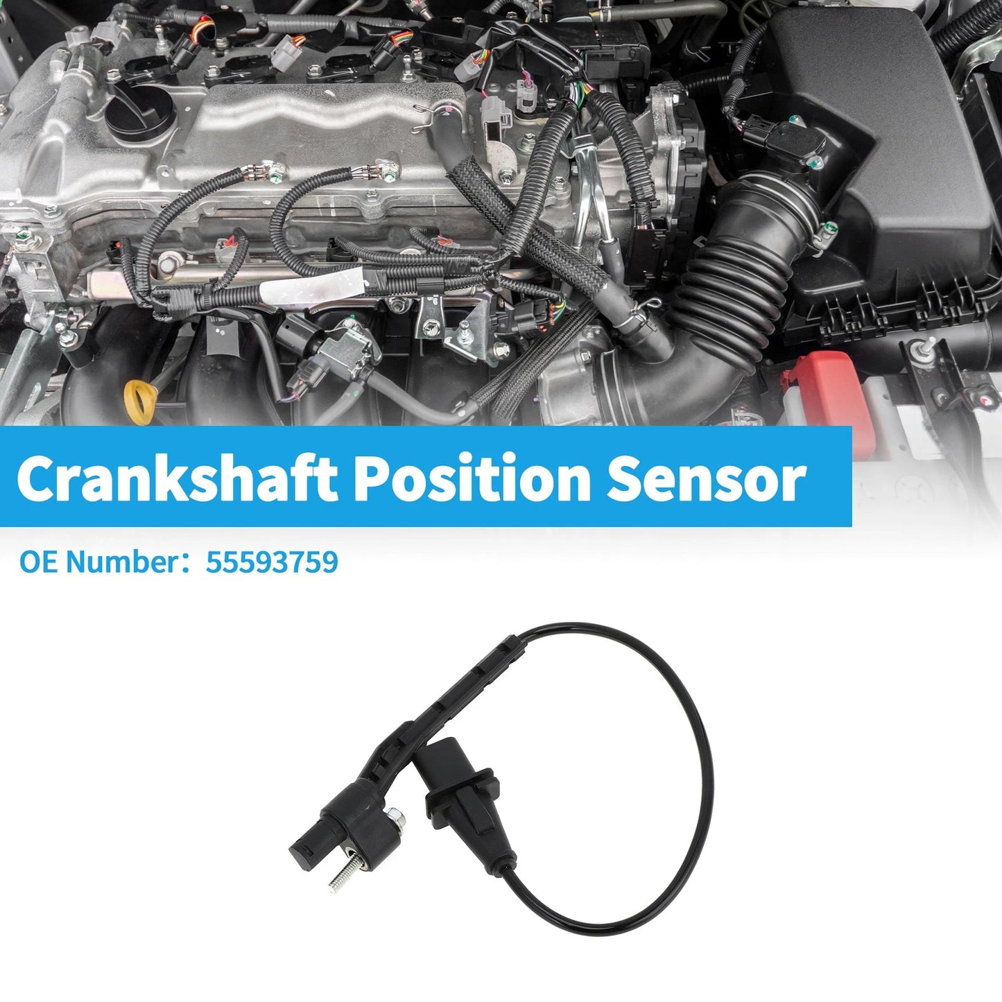 Crankshaft Position Sensor 2.8 Diesel for Chevy Colorado (2016-2022)