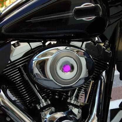 Purple Set Screw Cap for Motorcycle Motorbike