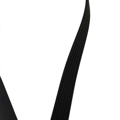 Ribbed Belt 6PK2220 for FPV Falcon 4.0 F6 (FG) 310 kW, 4.0 F6/F6-E (2008-2016)