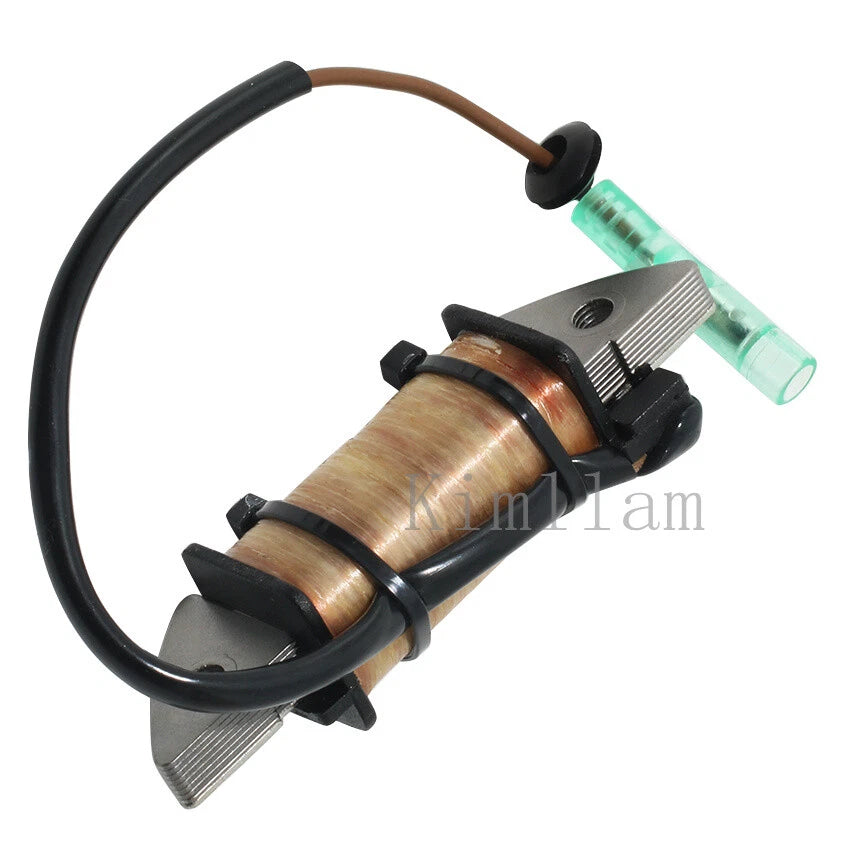 Charge Coil for Yamaha Outboard 2HP 1995-2006, 2010