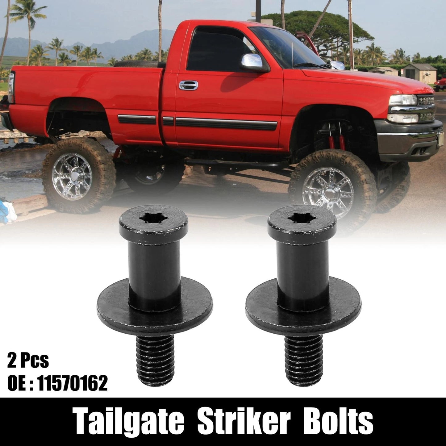 Tailgate Latch Striker Bolts for Chevrolet Silverado 2500 (1999-2004)